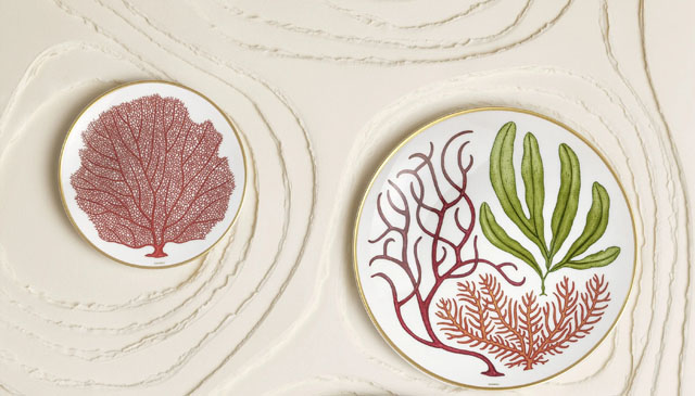 爱马仕全新发布Natures Marines海洋秘境餐瓷系列